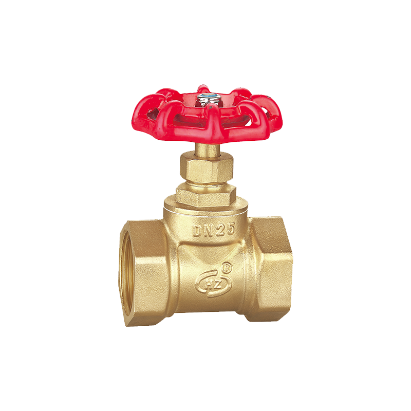 Brass Globe Valve