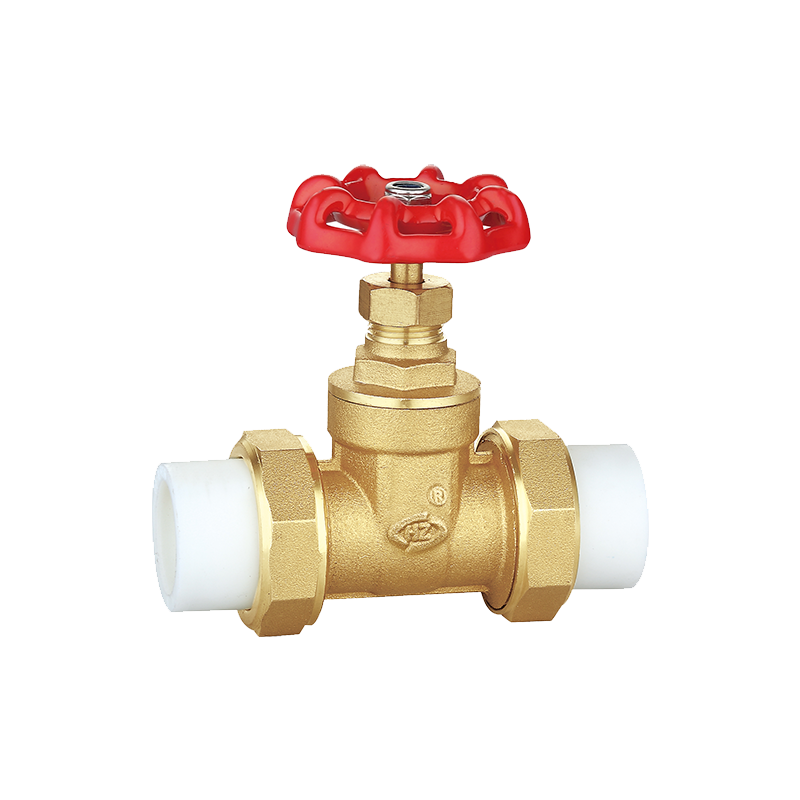 PPR Brass Gate Valve