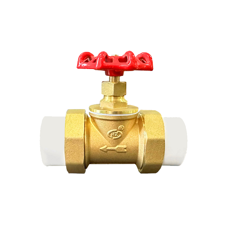 PPR Brass Globe Valve